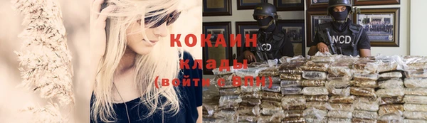 дурь Каменногорск