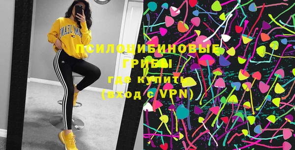 дурь Каменногорск