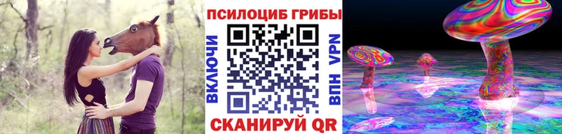 Купить где  Гатчина  Галлюциногенные грибы мухоморы 