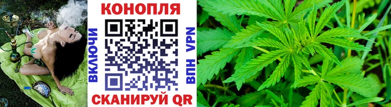 Купить  Гатчина  Каннабис семена 